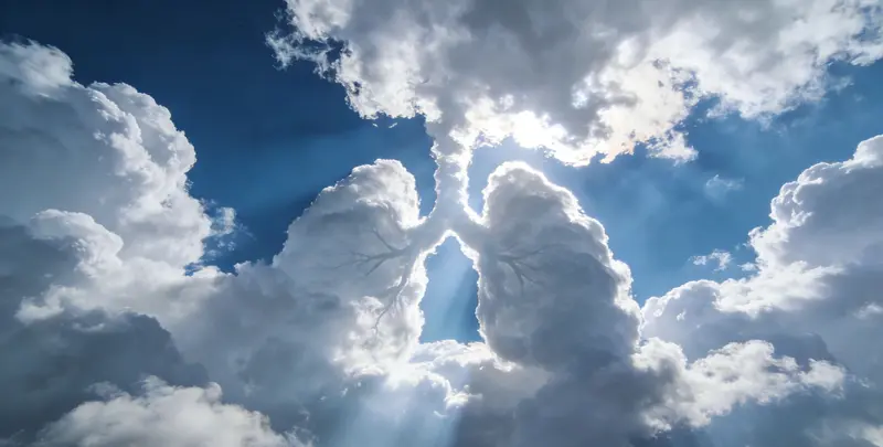 鹤岗肺癌靶向120基因检测（组织）检测图1