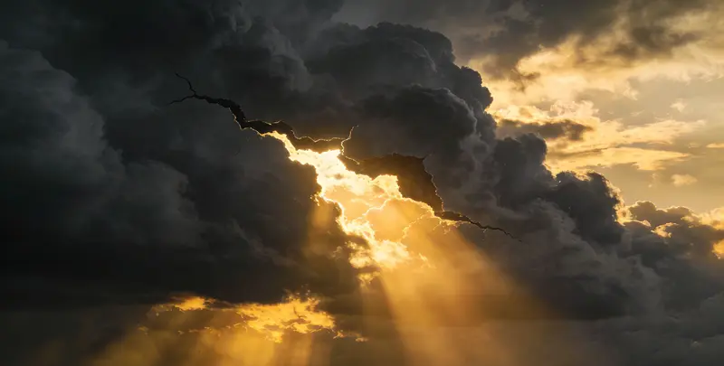 鹤岗肺癌119基因检测检测图1