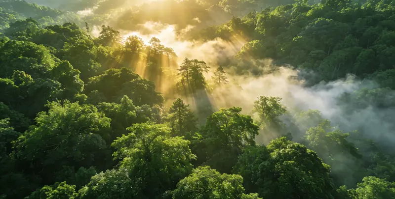 鹤岗肺癌68基因检测检测图1