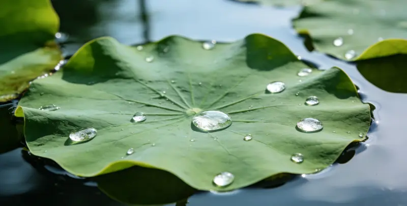 鹤岗BRCA1/2乳腺癌卵巢癌基因检测检测图1