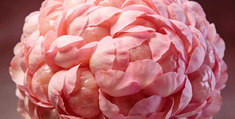 鹤岗乳腺/卵巢癌120基因ctDNA突变检测（血液）检测图1