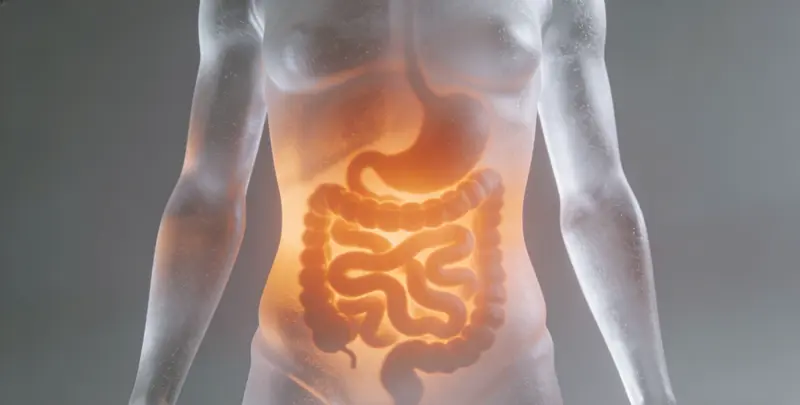 鹤岗胃癌全面用药基因检测（组织）检测图1